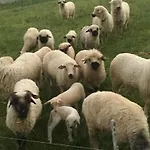 Pod Grapom * Czarna Góra