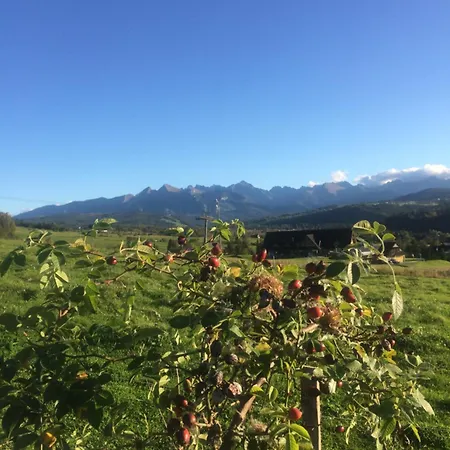 Pod Grapom منزل للإقامة